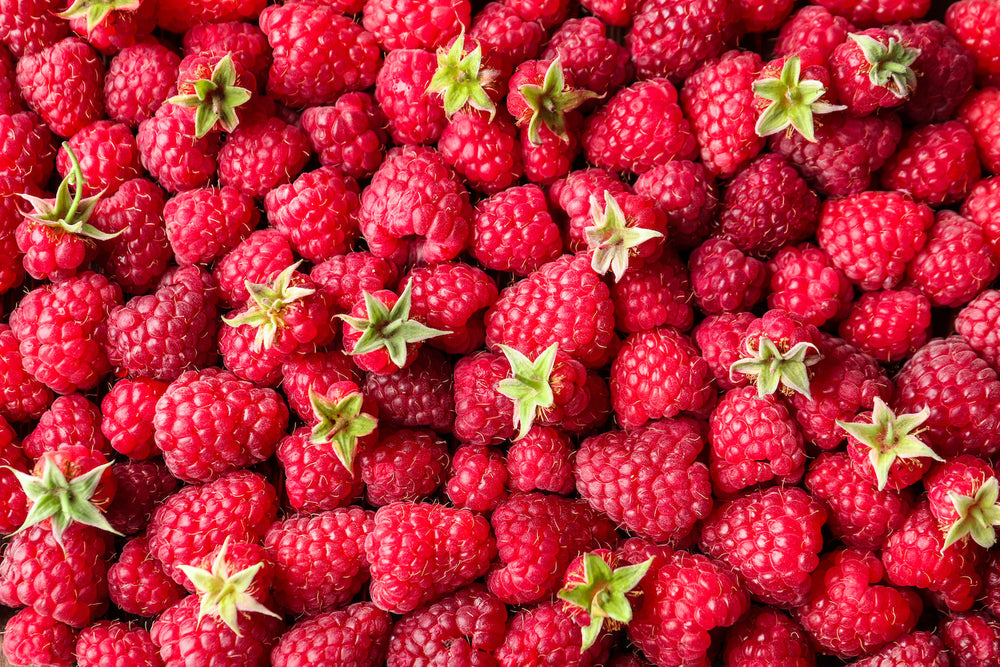 Contact – Chad's Raspberry Kitchen, Inc.